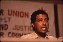 Cesar Chavez speaking at table with a union sign in the background